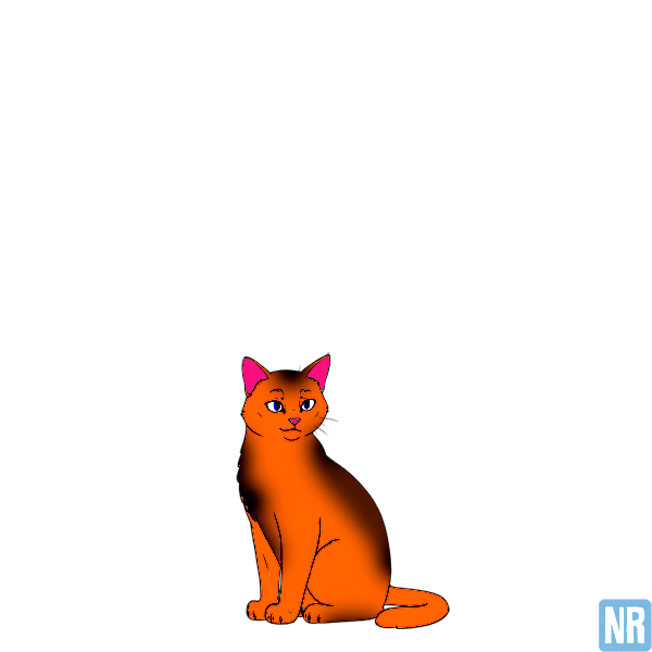 Pet