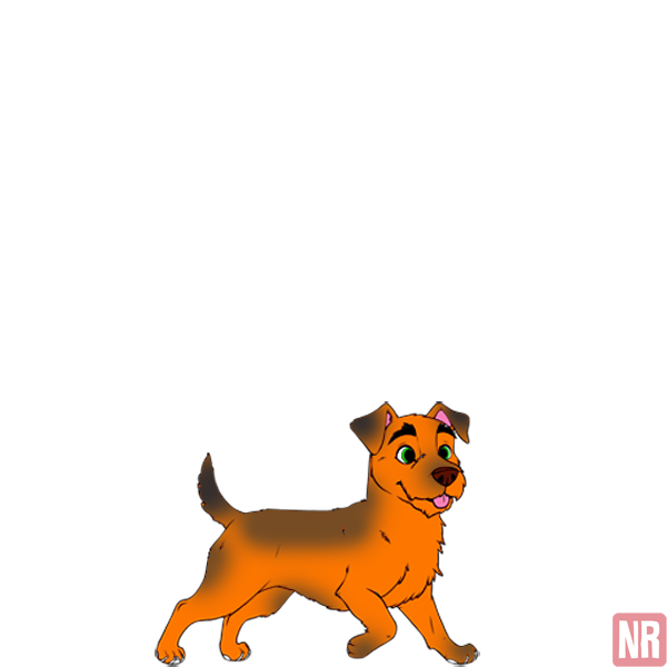 Pet