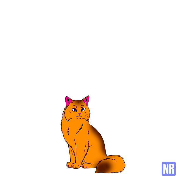 Pet