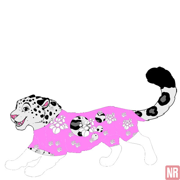 Pet