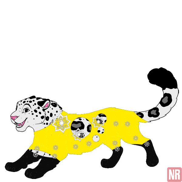 Pet