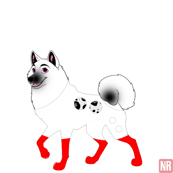 Pet