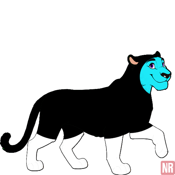 Pet
