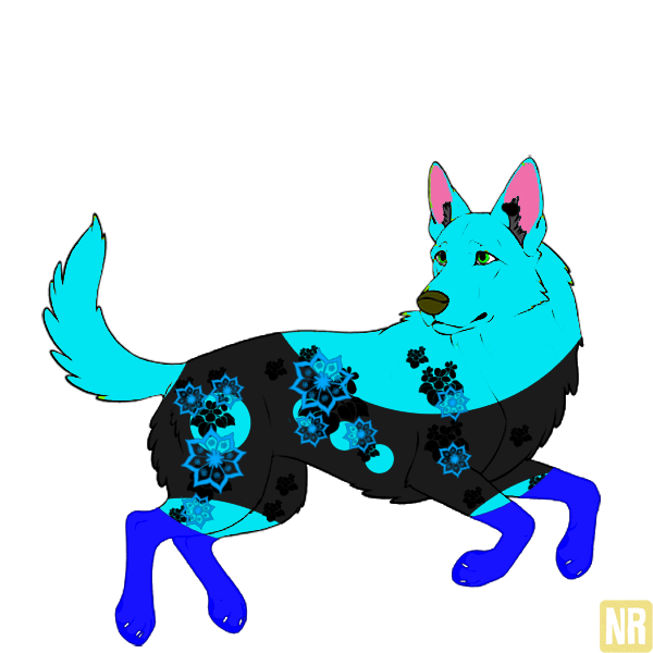 Pet
