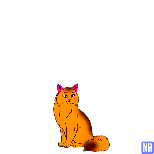 Pet