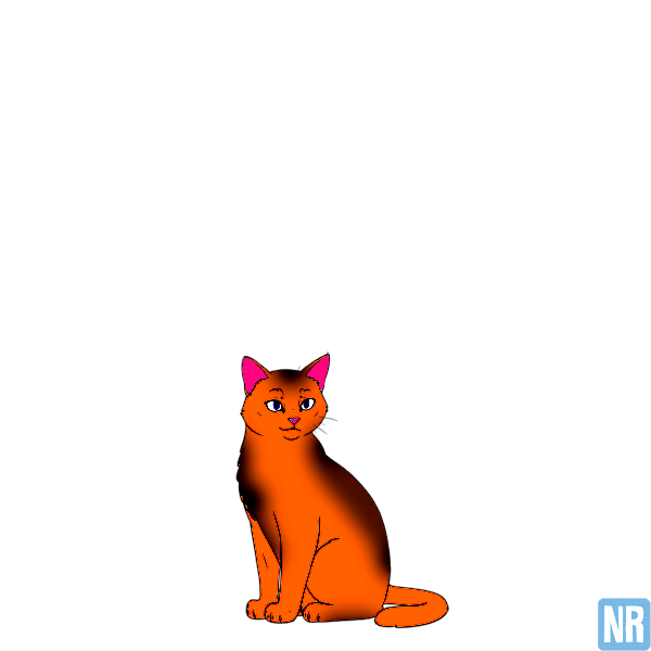 Pet