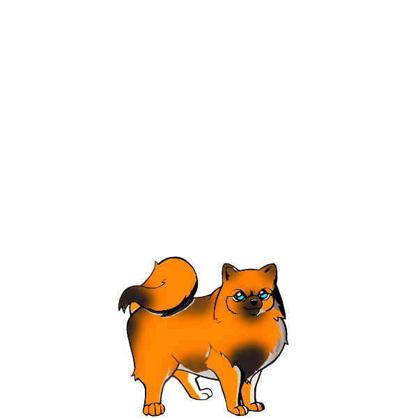 Pet