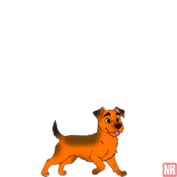 Pet