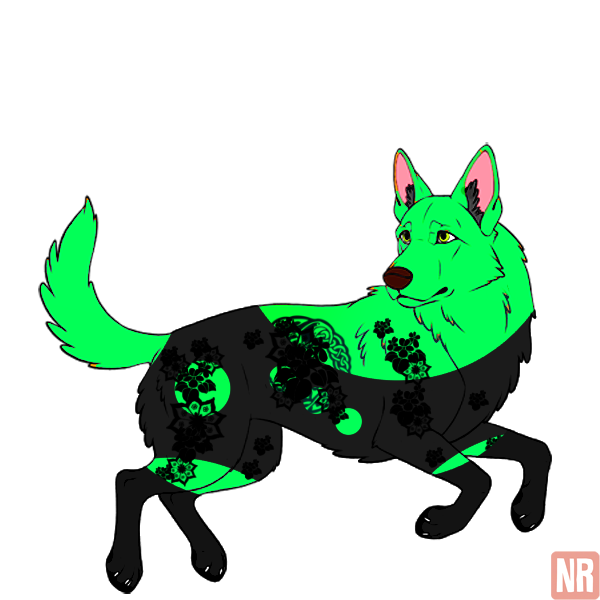 Pet