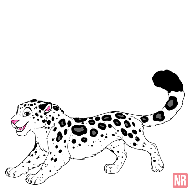 Pet